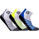 12323